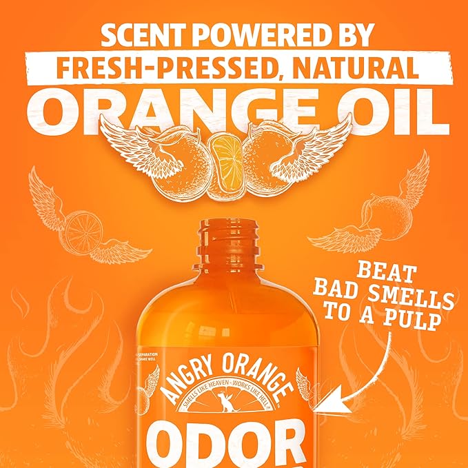 ANGRY ORANGE Pet Odor Eliminator – Citrus Concentrate (8 oz, Makes 128 oz) + 1 Gallon Cleaner for Dog and Cat Urine, Stains, and Odors