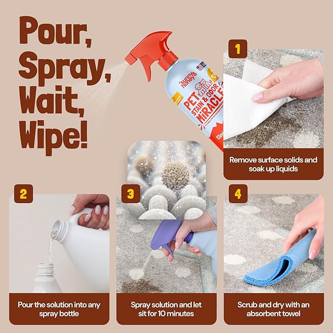 Sunny & Honey Pet Stain & Odor Miracle - For New and Old Stains - Enzyme Cleaner & Surface Odor Eliminator - Fast Acting Carpet Cleaner Spray - Enzymatic Cleaner for Dog Urine (128 fl oz, Fall Spice)