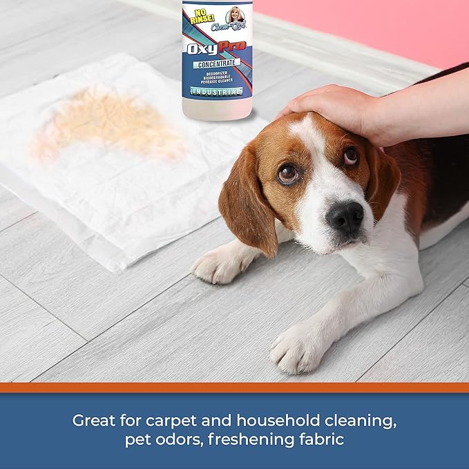 Chem-Girl OxyPro Concentrated Multi-Purpose Surface Cleaner to the Rescue - Chlorine-Free, Oxygen-Powered Stain & Odor Remover, 5 Percent Hydrogen Peroxide (H2O2), 1 Quart