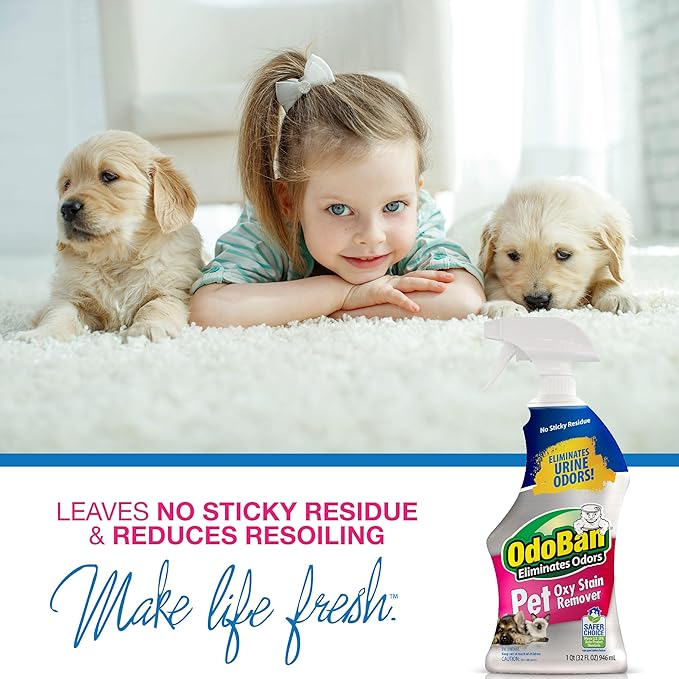 OdoBan Pet Solutions Oxy Stain Remover, Pet Stain Eliminator, Made in the USA, 4-Pack, 32 Ounce Spray Each
