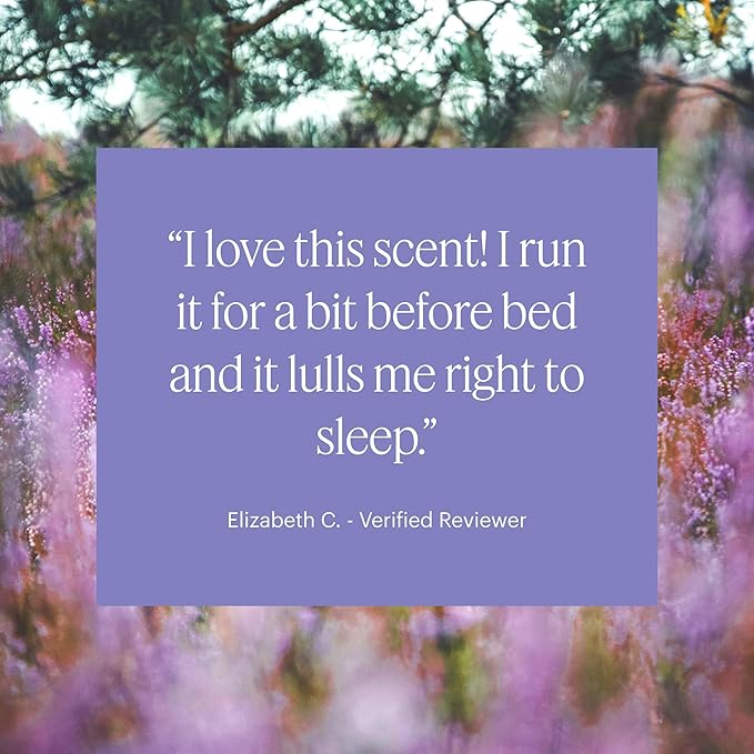 Aera Mini Pillow Plans - Essential Oil for Home – Soothing MoodBoost Fragrance - Notes of Lavender and Sage - Scent Refill - Capsule Size Works with Mini Diffuser