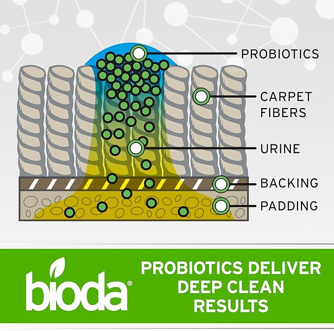 Bioda Pet Stain and Odor Eliminator | Pet Urine Enzyme Cleaner | Stain Remover | Urine Odor Eliminator | Carpet & Couch Cleaner | Made in USA | 1 Gallon