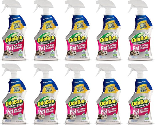 OdoBan Pet Solutions Oxy Stain Remover, Pet Stain Eliminator, Made in the USA, 10-Pack, 32 Ounce Spray Each