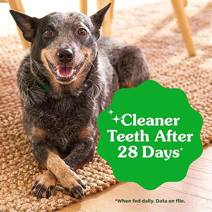 Greenies Veterinarian-Recommended Adult Natural Dental Dog Treats Petite Size, Original Flavor, 6 oz. Pack,10 Count
