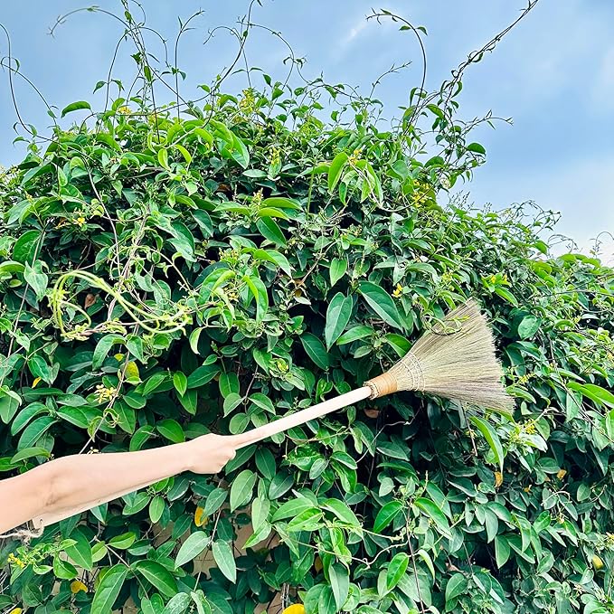TTS Handmade Whisk Sweeping Broom - Vietnamese Straw Soft Broom for Indoor or Outdoor Sweeping - 9.45" Width, 39.37" Length