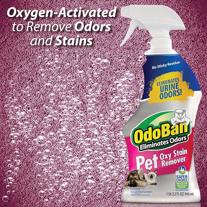 OdoBan Pet Solutions Oxy Stain Remover, Pet Stain Eliminator, Made in the USA, 4-Pack, 32 Ounce Spray Each